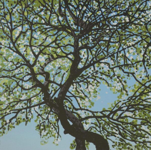 Apple Crumble Tree
