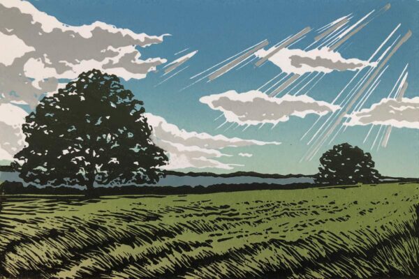 North Downs Way - open edition, more may be coming.