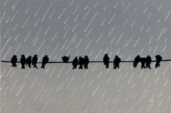 Morse Code Pigeons - open edition, more may be coming.